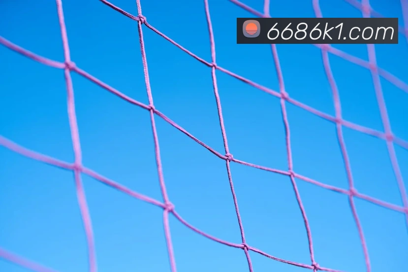 6686全站App